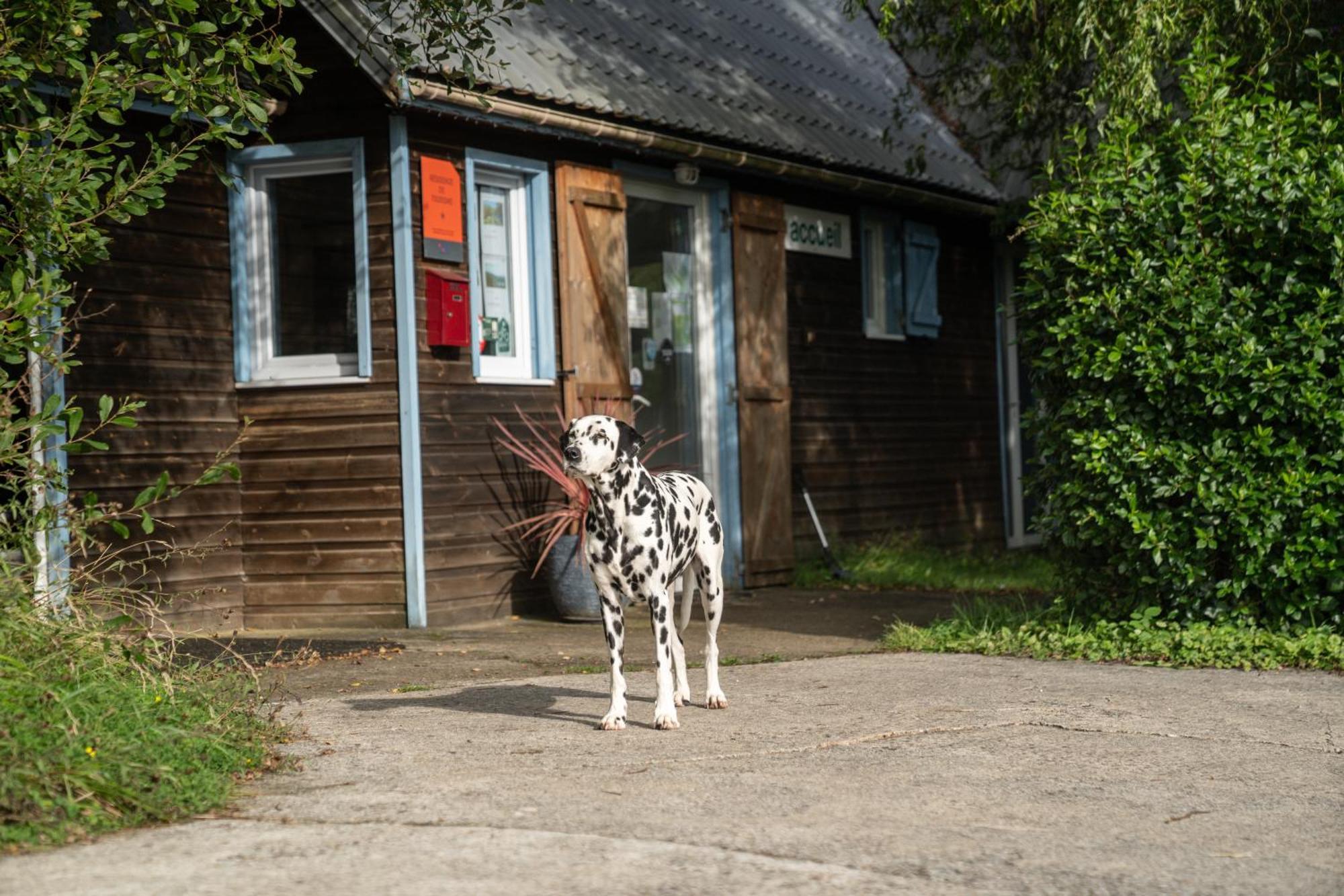Gite 9 Personnes Fecamp Etretat Colleville Exterior foto
